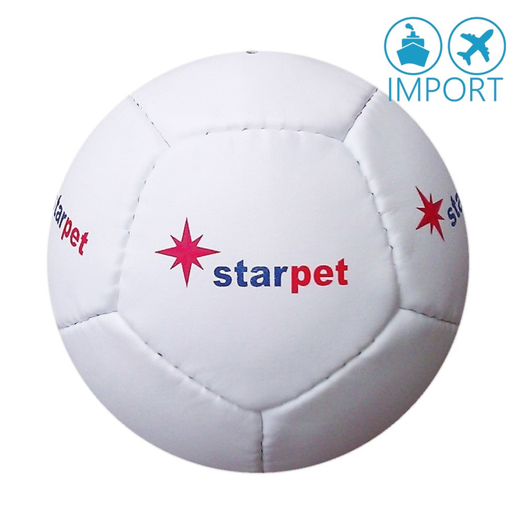 Mini Bola De 12 Paneles